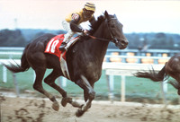 FOREGO_marlboro_cup