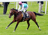 frankel_ascot02