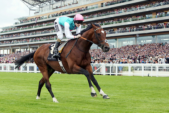 frankel_ascot01