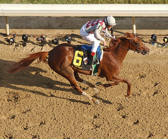 funnycide_derby06
