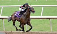 ghostzapper_bc_classic05