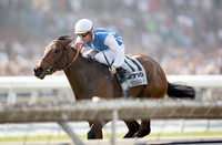 goldikova_bc_mile05