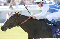Goldikova