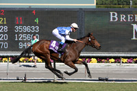 goldikova_bc_mile02