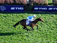 goldikova_bc_mile03