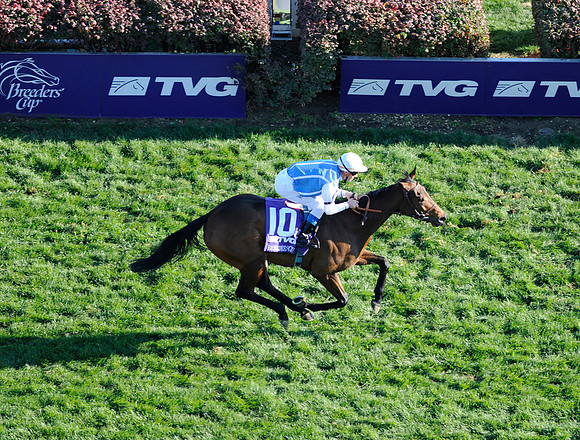 goldikova_bc_mile03