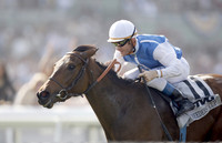 goldikova_bc_mile08