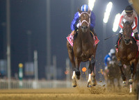 invasor_dubai_wc01