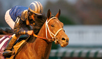 Invasor
