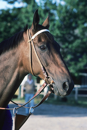 johnhenry_port02