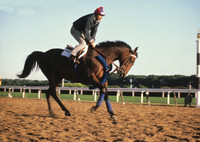 johnhenry_work01