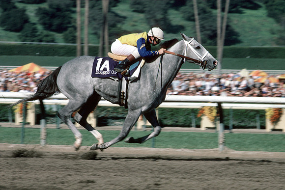 ladys_secret_bc_distaff01