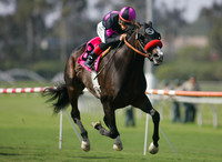 Lava Man
