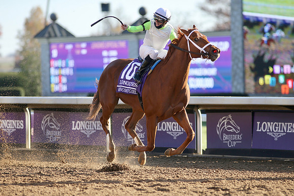 monomoy_girl_bc_distaff05