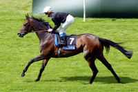 ouijaboard_ascot01