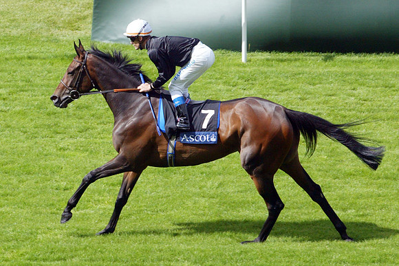 ouijaboard_ascot01