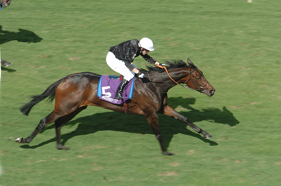 ouija_board_bc_filly_mare_turf03
