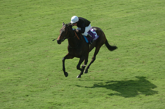 ouija_board_bc_filly_mare_turf01