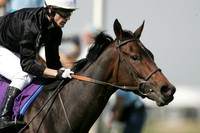 ouija_board_bc_filly_mare_turf02