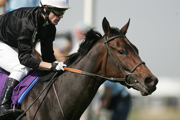 ouija_board_bc_filly_mare_turf02