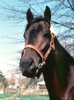 seattleslew_port01