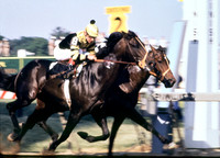 seattleslew_preakness01