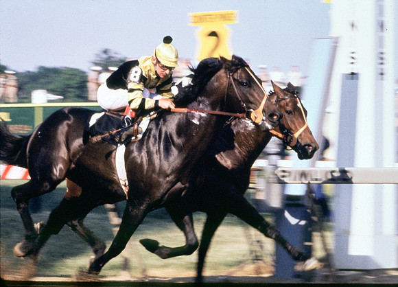 seattleslew_preakness01
