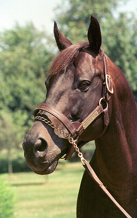 seattleslew_port03