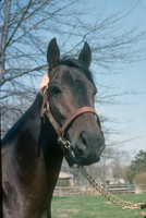 seattleslew_port02
