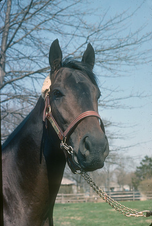 seattleslew_port02