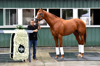 justify152_bn